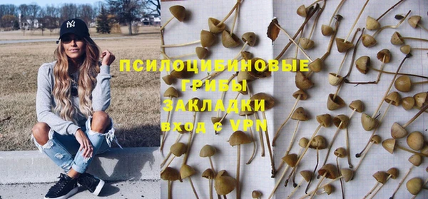 MESCALINE Корсаков