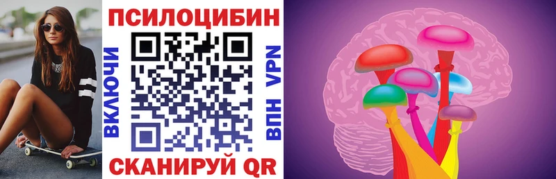 Купить  Сысерть  Псилоцибиновые грибы MAGIC MUSHROOMS 